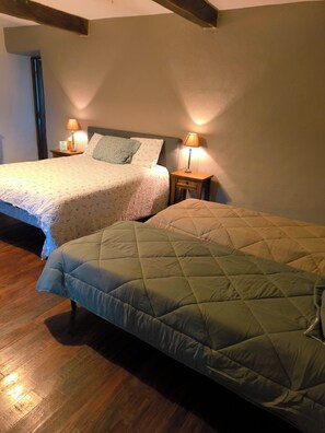 Iron/ironing board, internet, bed sheets - Country house near Marciac festival Large group capacity 14 people (Castex)