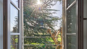 An open window with a metal railing, a view of a tree, and sunlight streaming through. - Charming Family Home from 1880 in the Heart of Charente-Maritime (Boutenac Touvent)