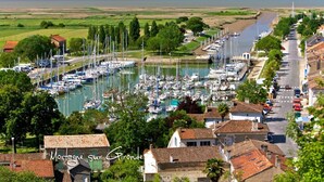 A marina with boats docked, surrounded by residential buildings and a road. - Charming Family Home from 1880 in the Heart of Charente-Maritime (Boutenac Touvent)