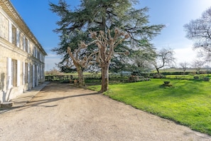 A gravel driveway leading to a building with a large tree in the center.