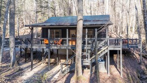 Exterior - 706 On The Creek - Mid-century modern-inspired vibe - Blue Ridge, GA (Blue Ridge)