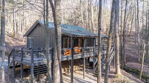 Exterior - 706 On The Creek - Mid-century modern-inspired vibe - Blue Ridge, GA (Blue Ridge)