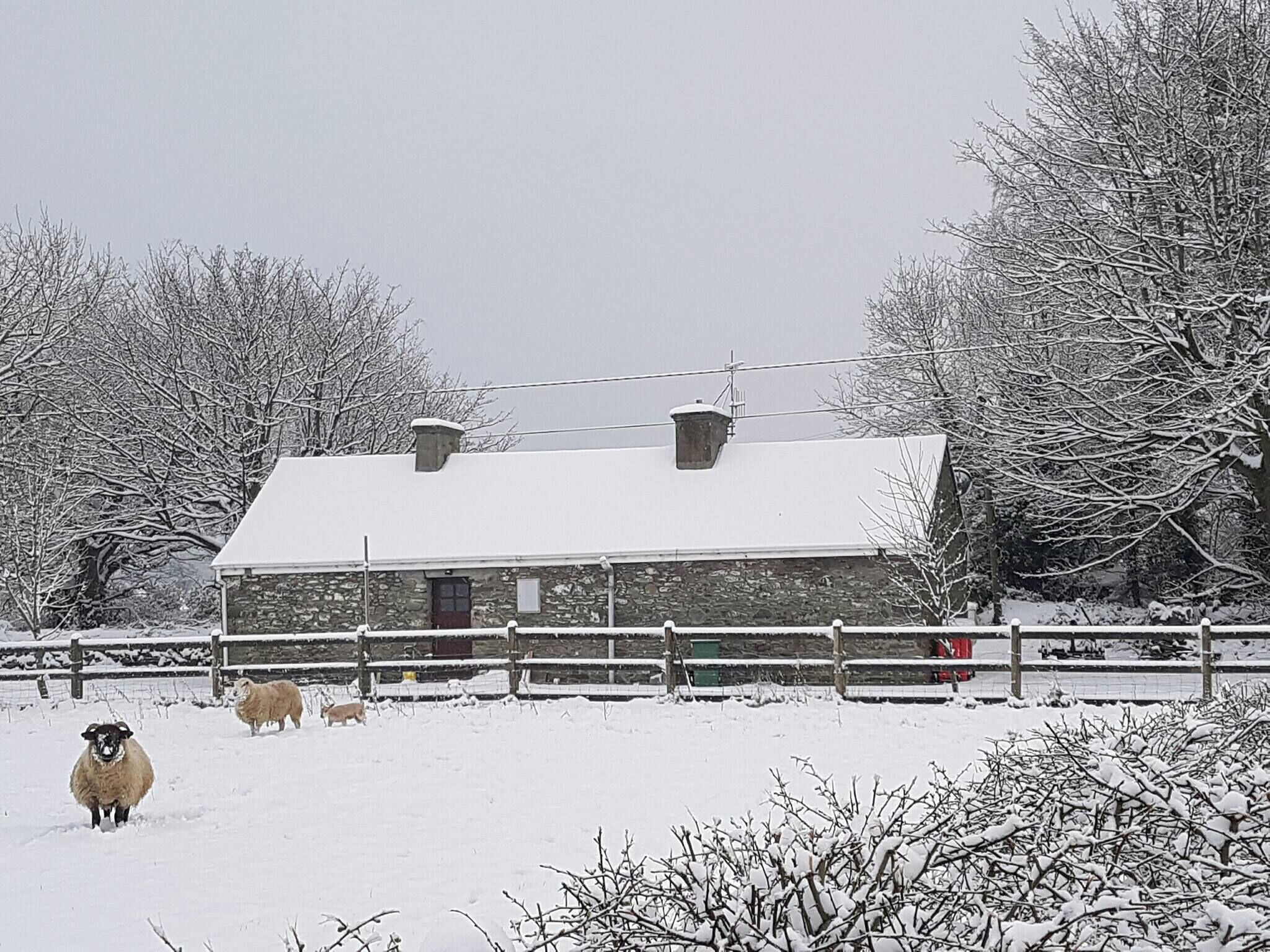 Casa, 2 habitaciones, para fumadores, balcón | Áreas de la propiedad