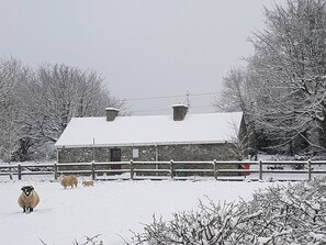 Ferienhaus, 2 Schlafzimmer, Raucher, Balkon | Unterkunftsgelände