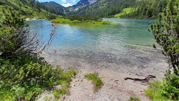 Ein klarer See, umgeben von Bergen und Grün.