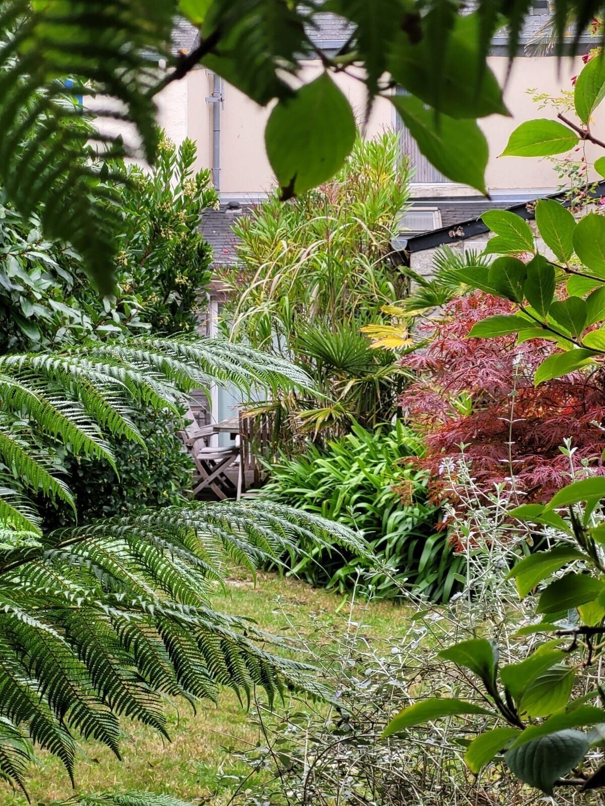 Imagen de perfil del propietario o de la propietaria