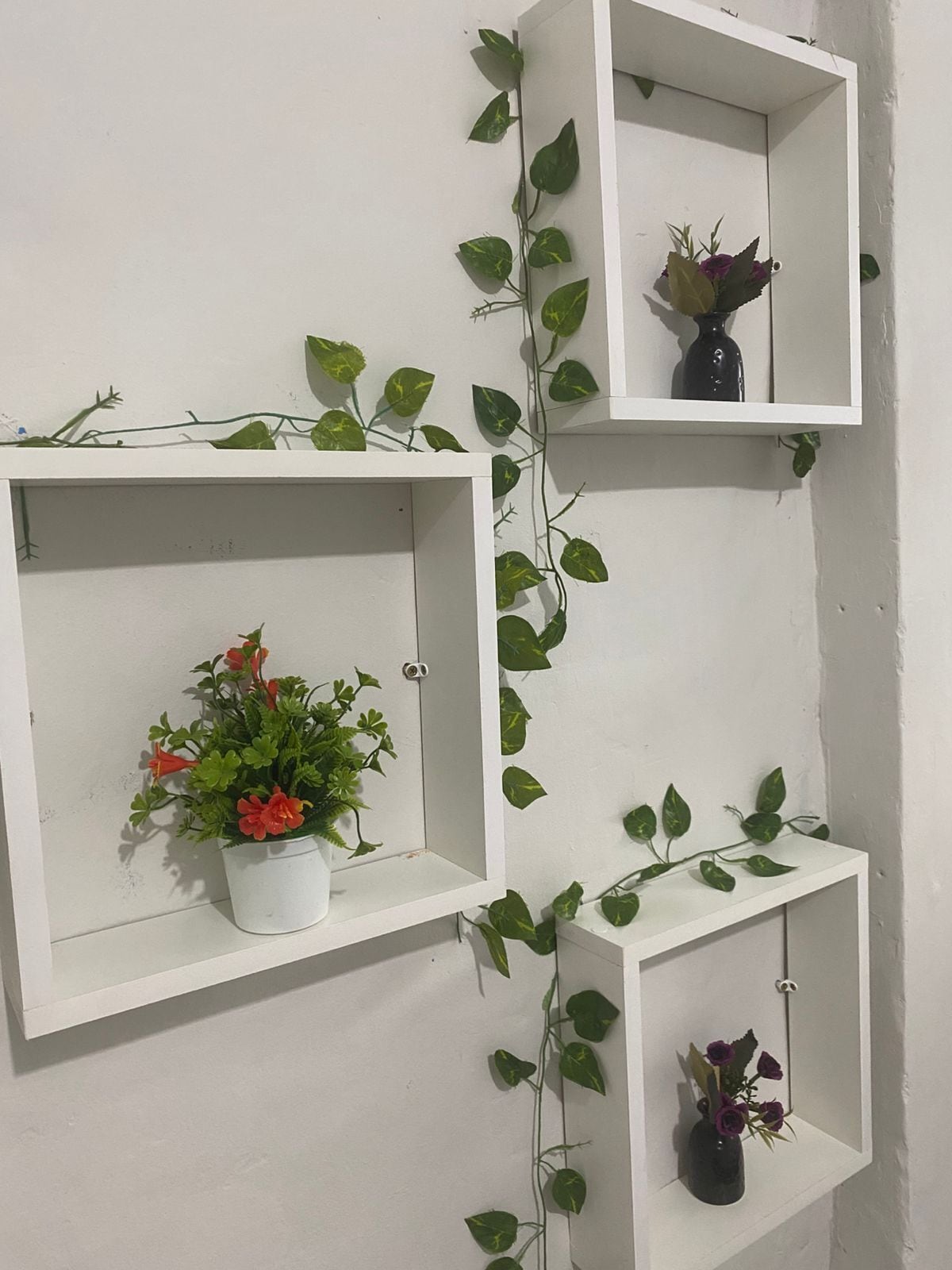 A wall with three white shelves, each containing a potted plant.