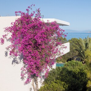 A white building with a pink flowering tree in front.