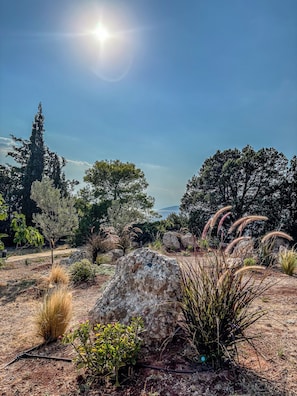 A natural landscape with a variety of trees and shrubs, a large rock formation, and a clear view of the sky. - Kilada on the Rocks (Doroufi Kranidiou)