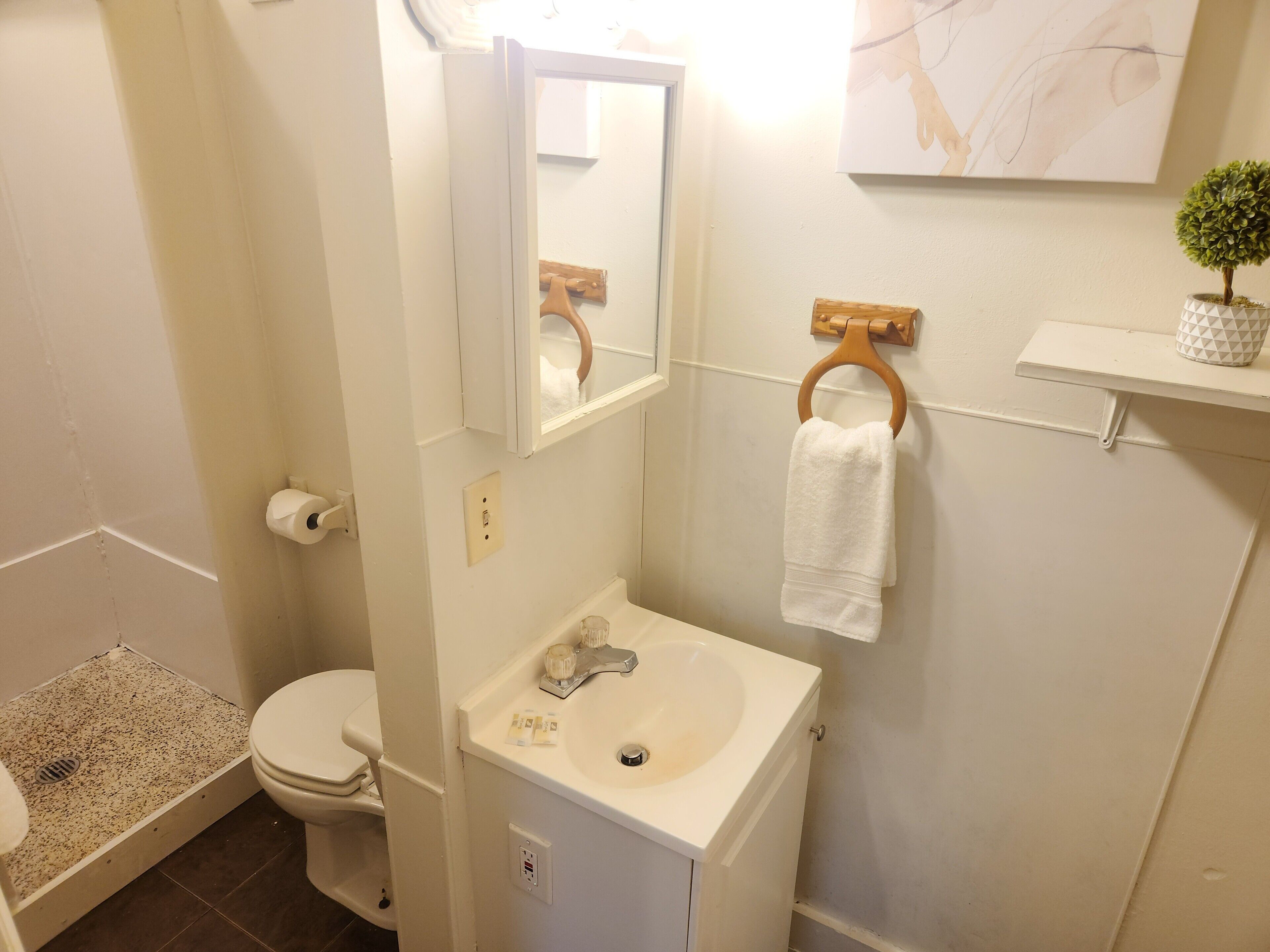 Chambre Standard | Salle de bain | Douche, serviettes fournies, savon, shampooing