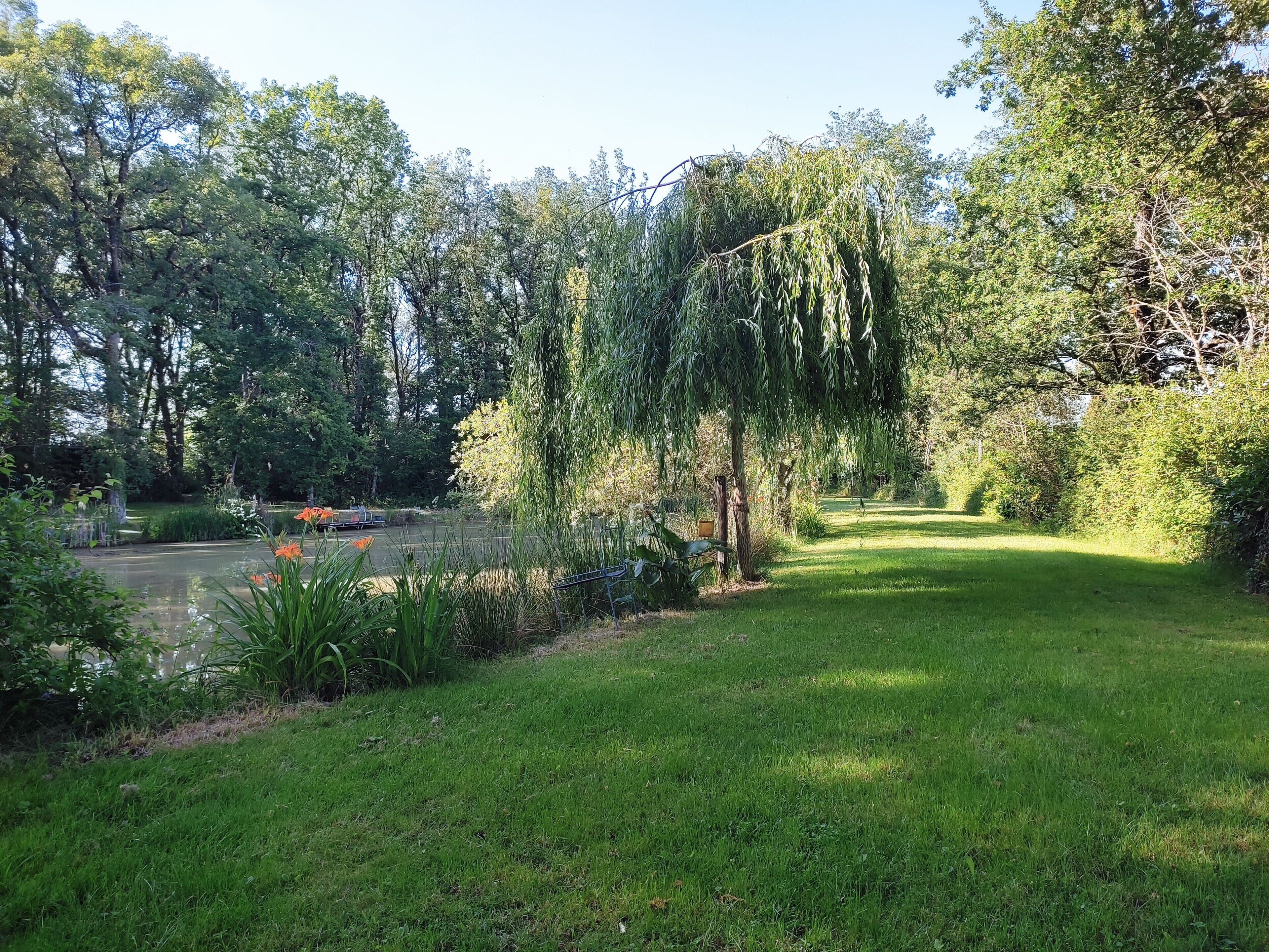 Overnatningsstedets område