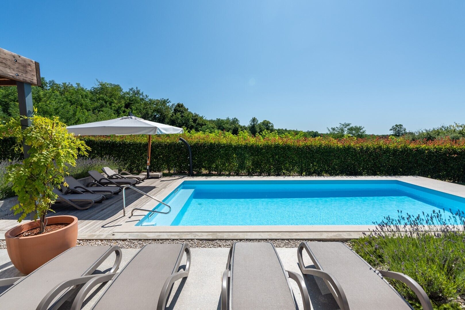 Ein rechteckiger Swimmingpool mit Holzterrasse und Liegestühlen.