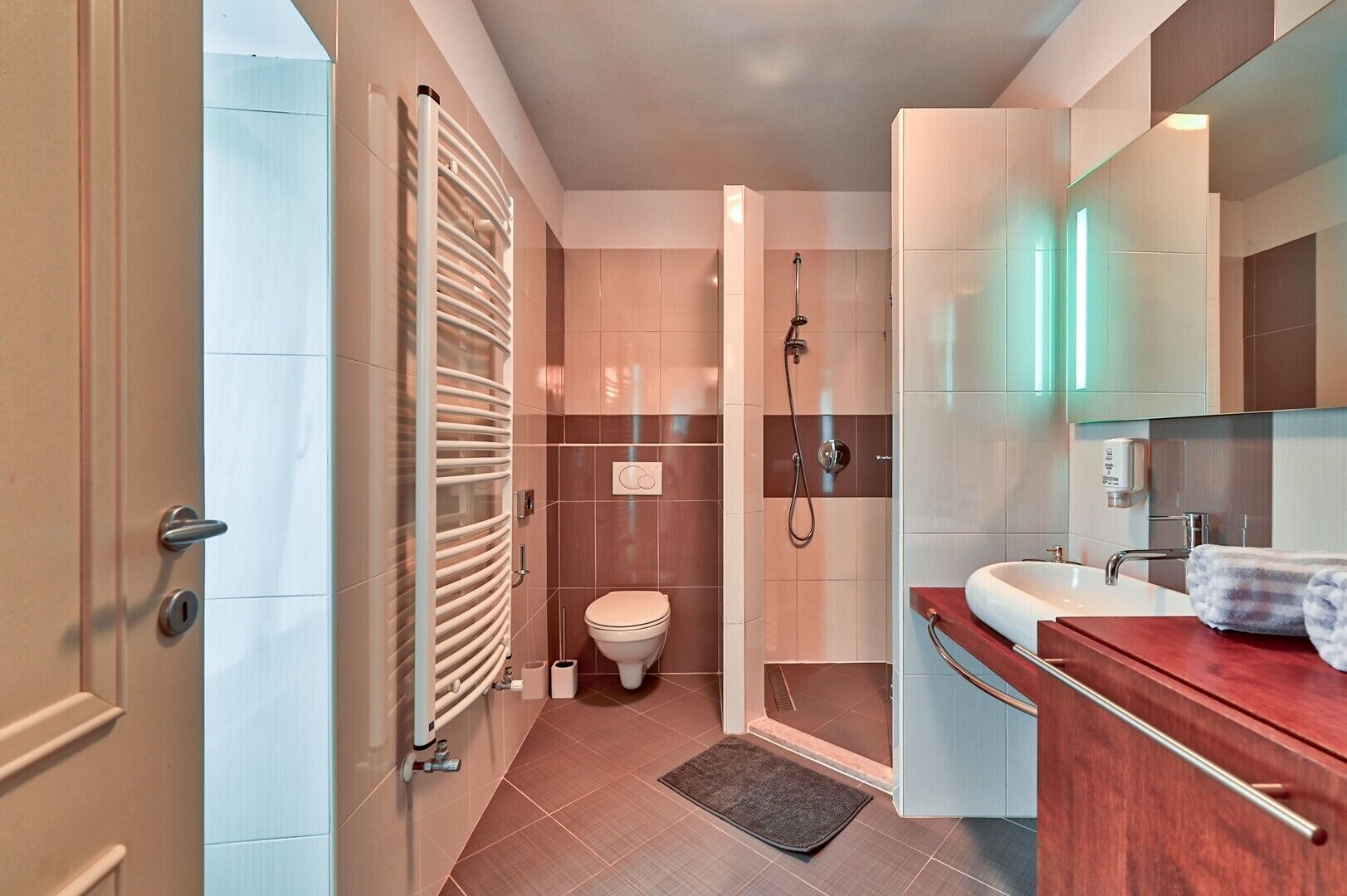 A modern bathroom with a walk-in shower, a toilet, and a vanity with a mirror.