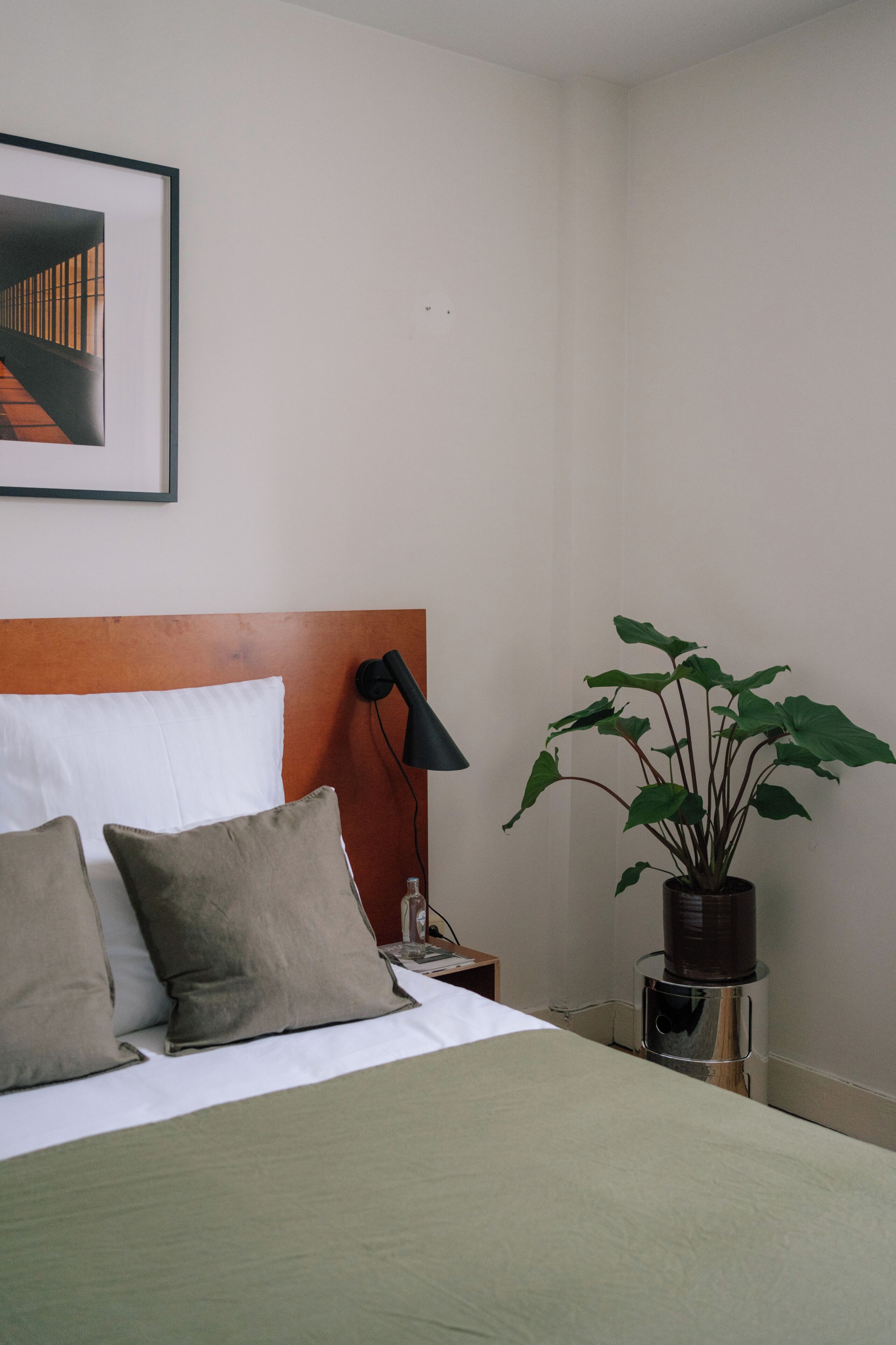 A hotel room with a bed, a nightstand, a lamp, and a potted plant.