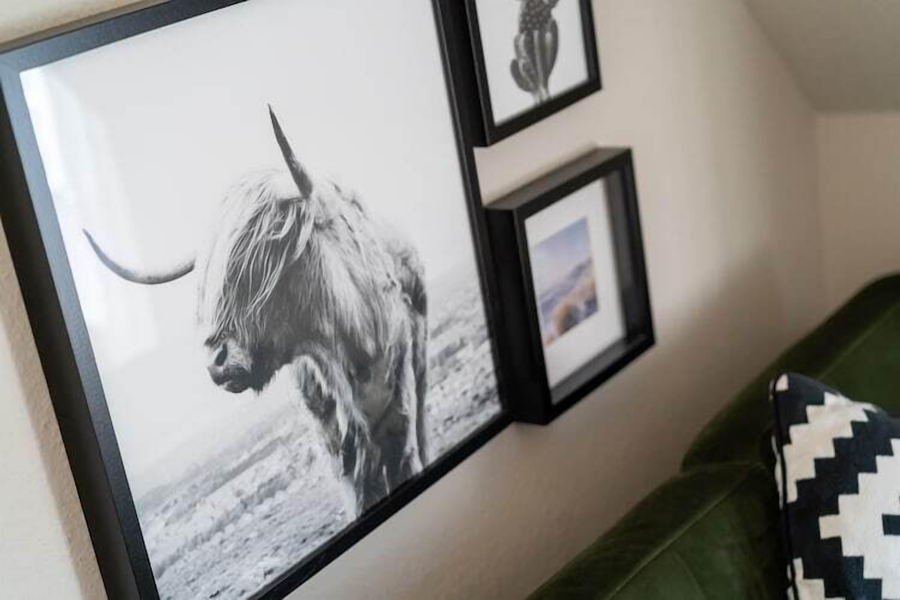 Ein gerahmtes Foto eines Stiers an einer Wand, im Vordergrund ein grünes Sofa und ein Kissen mit Muster.