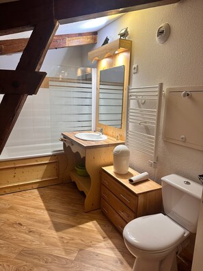 Regadera y secadora de cabello 