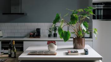 Superior Apartment | Private kitchen