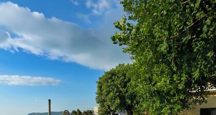 Villa "Belle Epoque" sea view with swimming pool. Only 100 meters from the sea.