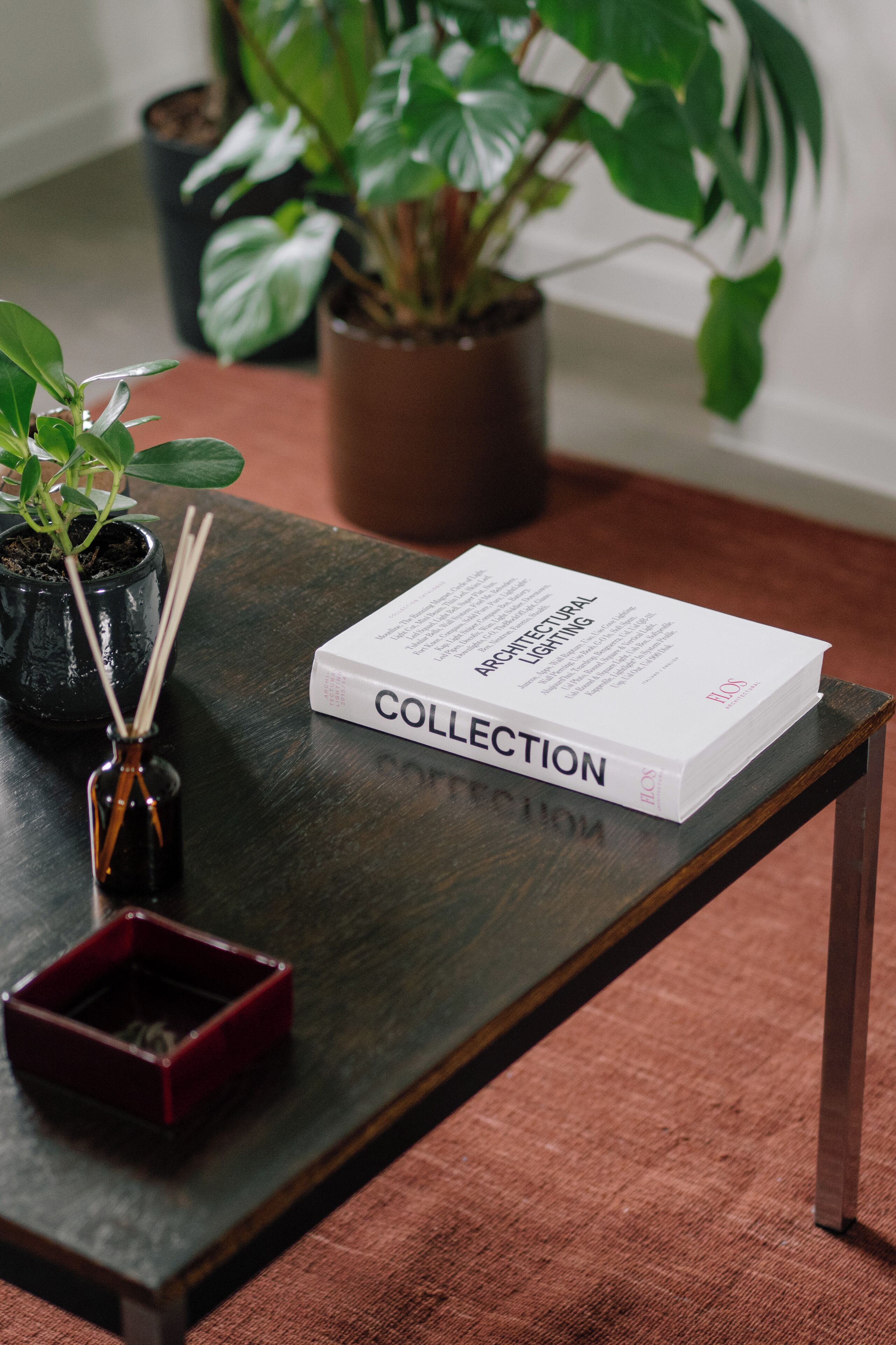Un llibre anomenat 'Architectural Lighting Collection' sobre una taula de fusta fosca amb una planta en test i un petit recipient vermell.