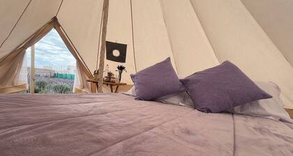Magical night at Glamping Rincón de Lavanda