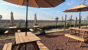 Opções para refeição ao ar livre