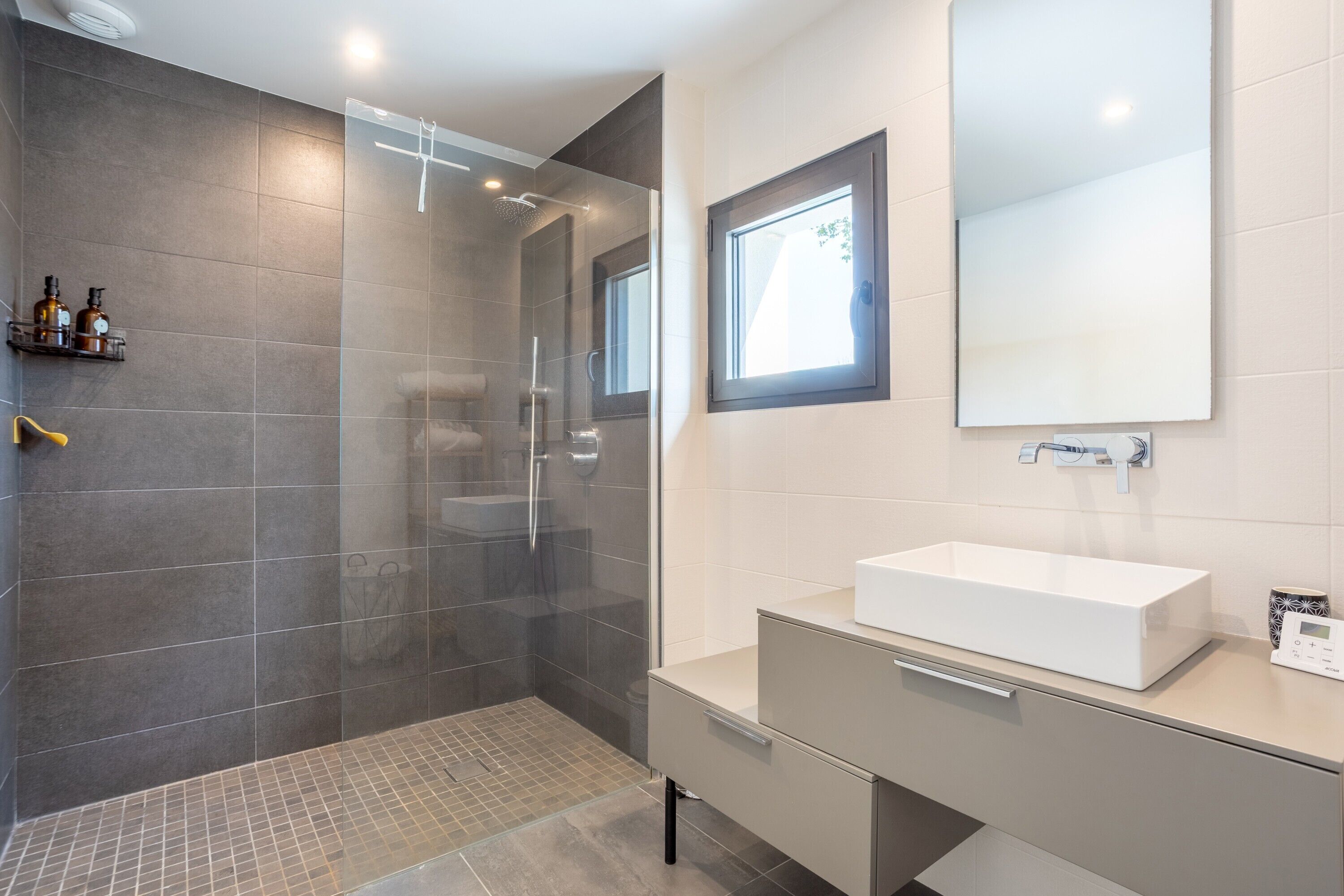Shower, hair dryer, towels