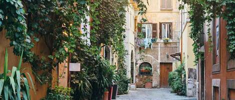 Overnattingsstedets uteområder