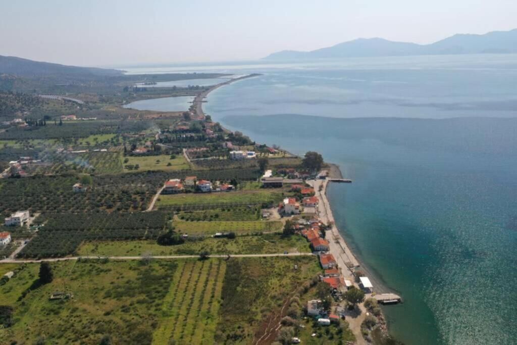 Vista aérea de una zona costera con una larga hilera de edificios a lo largo de la orilla, campos y una masa de agua.