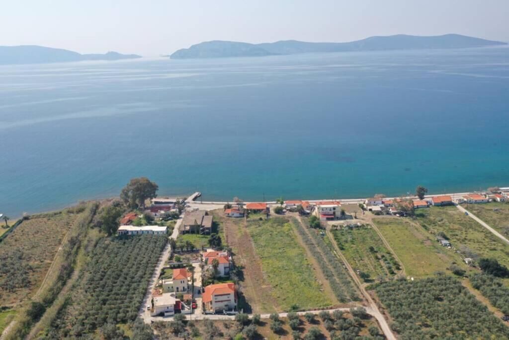 An aerial view of a coastal property with terraced fields, a main building, and a marina.