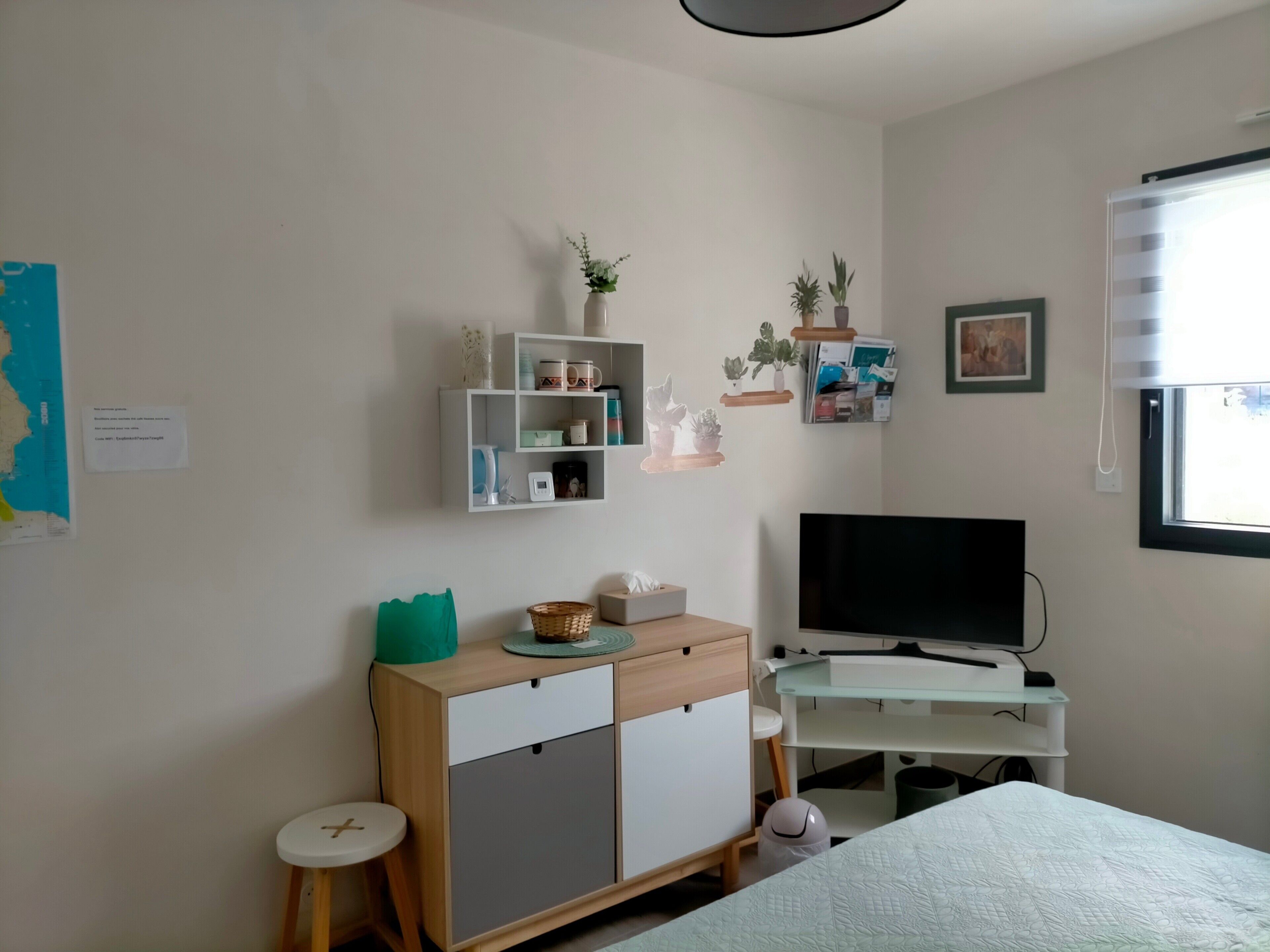 A neatly organized room with a bed, a TV, a desk with a computer, and shelves with plants and decorative items.