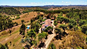 Vista aérea de una casa rodeada de árboles y colinas.