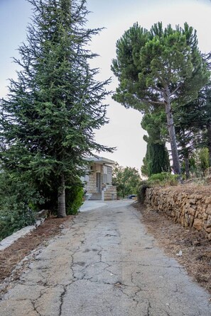 المنطقة المحيطة بالمنشأة