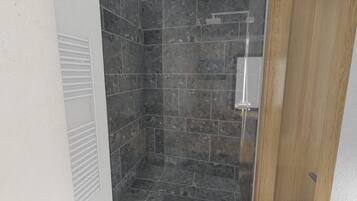 Shower, hair dryer, towels