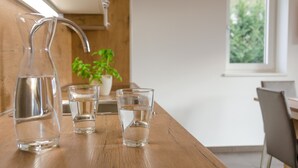 Puisesta pöydästä löytyy vesikannu ja kaksi lasia, ruukussa oleva kasvi ja ikkuna, josta avautuu näkymä vehreään maisemaan.