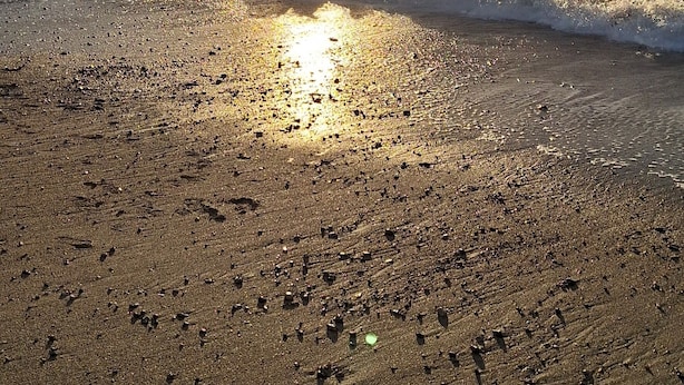 Ein Strand bei Sonnenuntergang über dem Meer, der eine friedliche Atmosphäre schafft.
