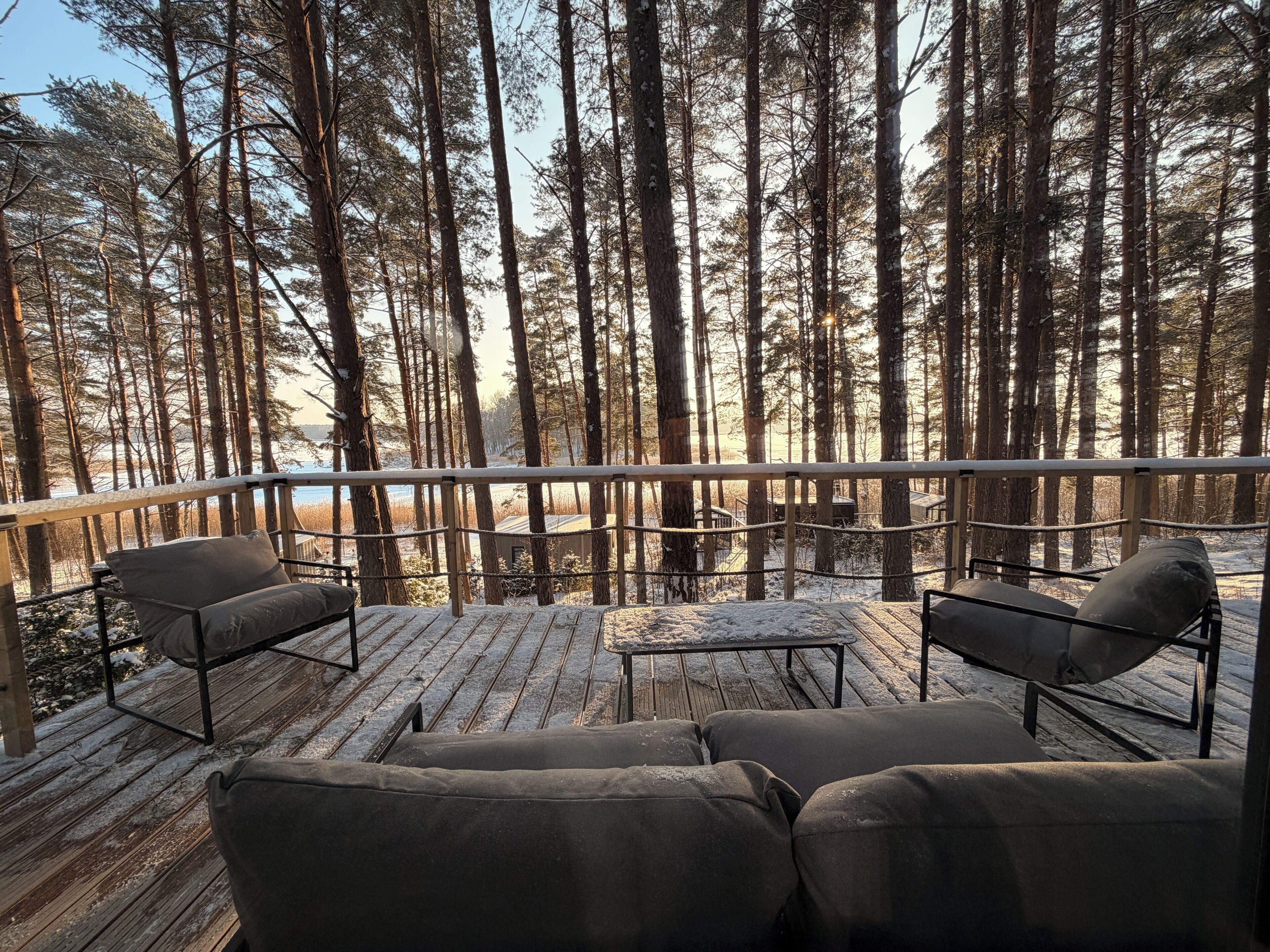 テラス / パティオ