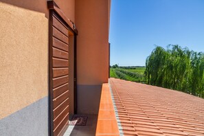 Detall de l'exterior