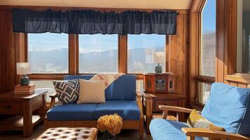 TV, fireplace, computer monitors