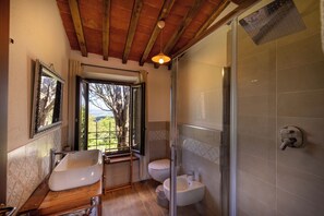 Shower, hair dryer, bidet, towels - Private and cozy, rustic-style studio apartment (Montalcino)