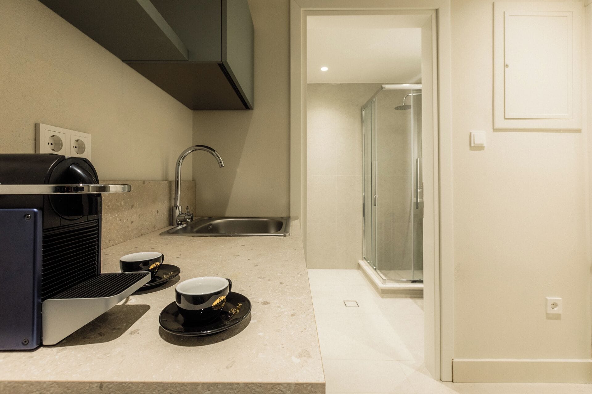 Una cocina compacta con cafetera, pileta y ducha de vidrio.