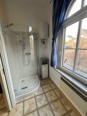 Shower, hair dryer, towels