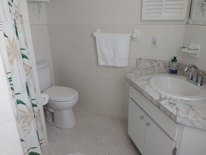 Hair dryer, towels, soap, toilet paper - Citrus Springs Golf & Country Club house / close to Crystal River. (Citrus Springs)