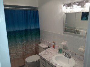 Hair dryer, towels, soap, toilet paper - Citrus Springs Golf & Country Club house / close to Crystal River. (Citrus Springs)