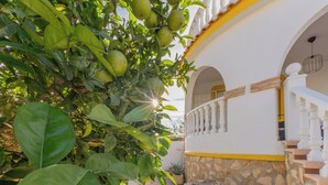 Un bâtiment avec une piscine en pierre, un escalier et un arbre aux feuilles vertes.