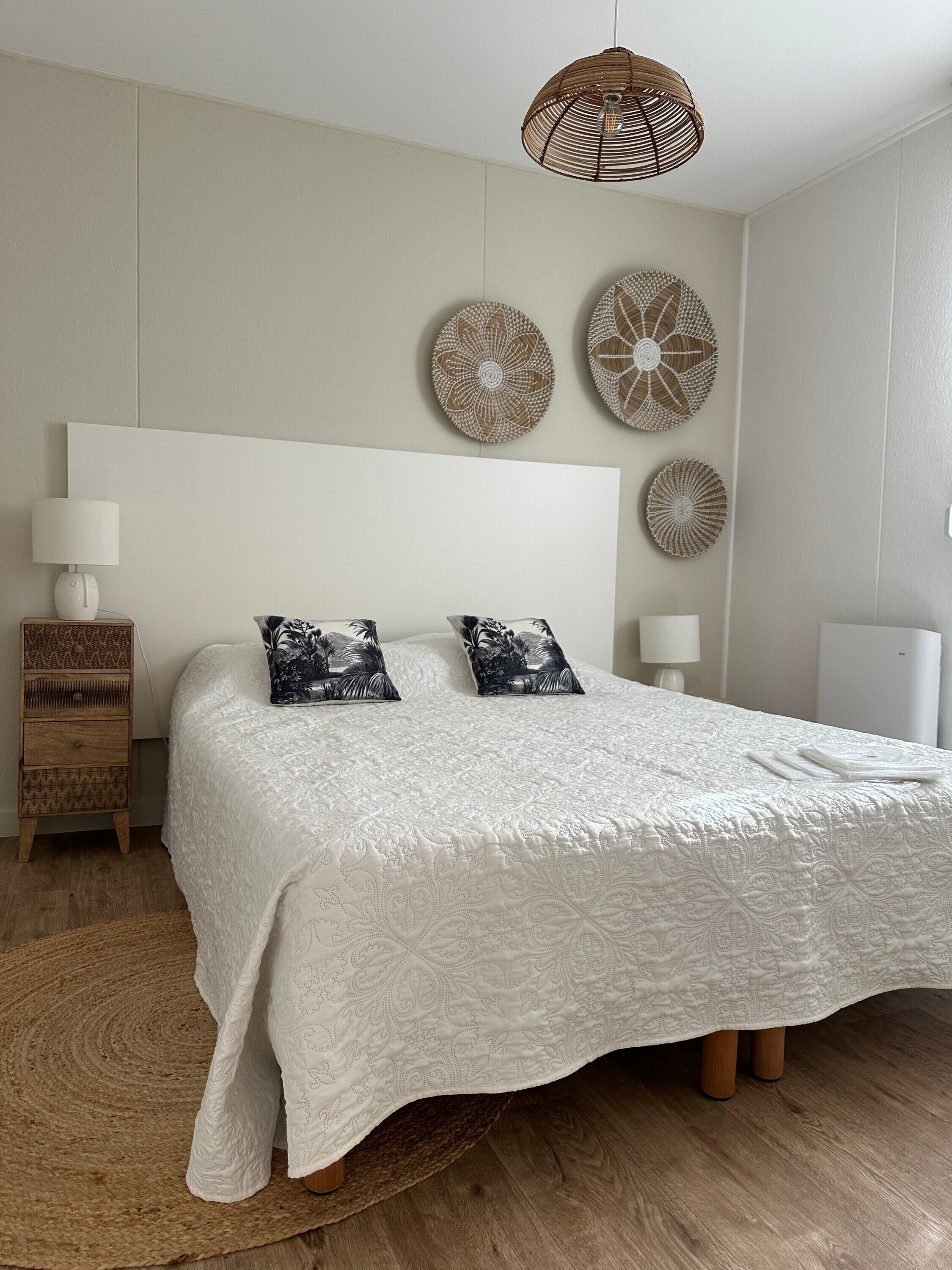 Planxa i posts de planxar i wifi 