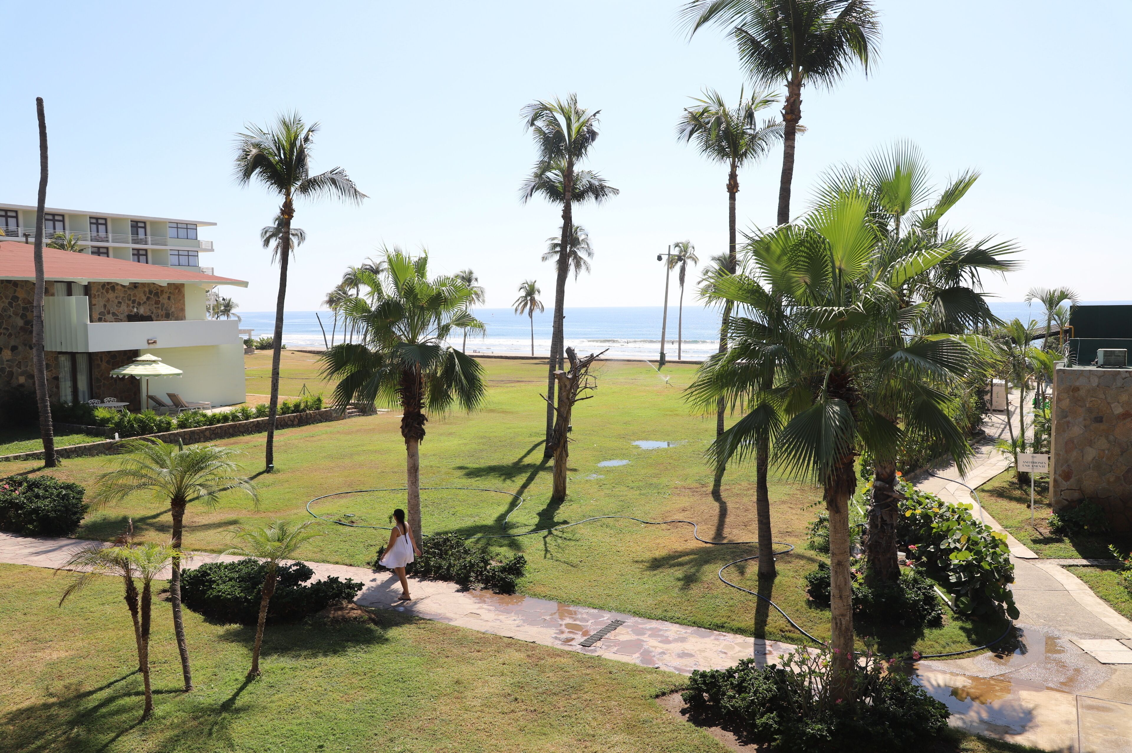 A hotel courtyard with palm trees, a pathway, and a view of the ocean.