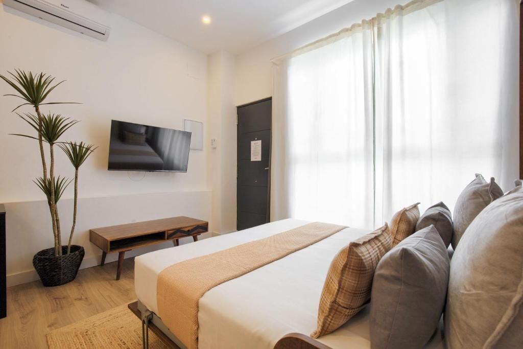 Habitació d'hotel amb un llit, televisió penjada a la paret, escriptori i una planta en test.
