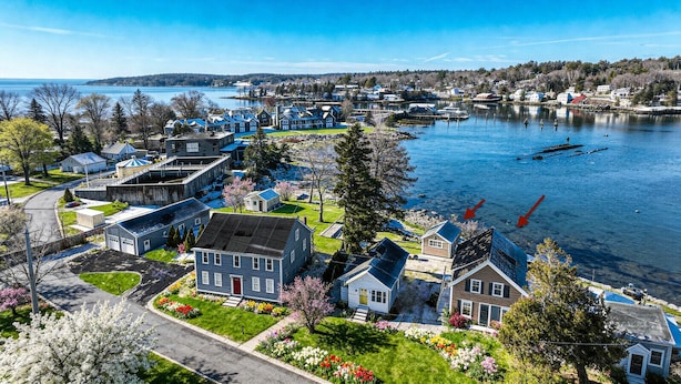 Un barrio residencial con casas a lo largo de la orilla, un muelle y una vista despejada del lago.