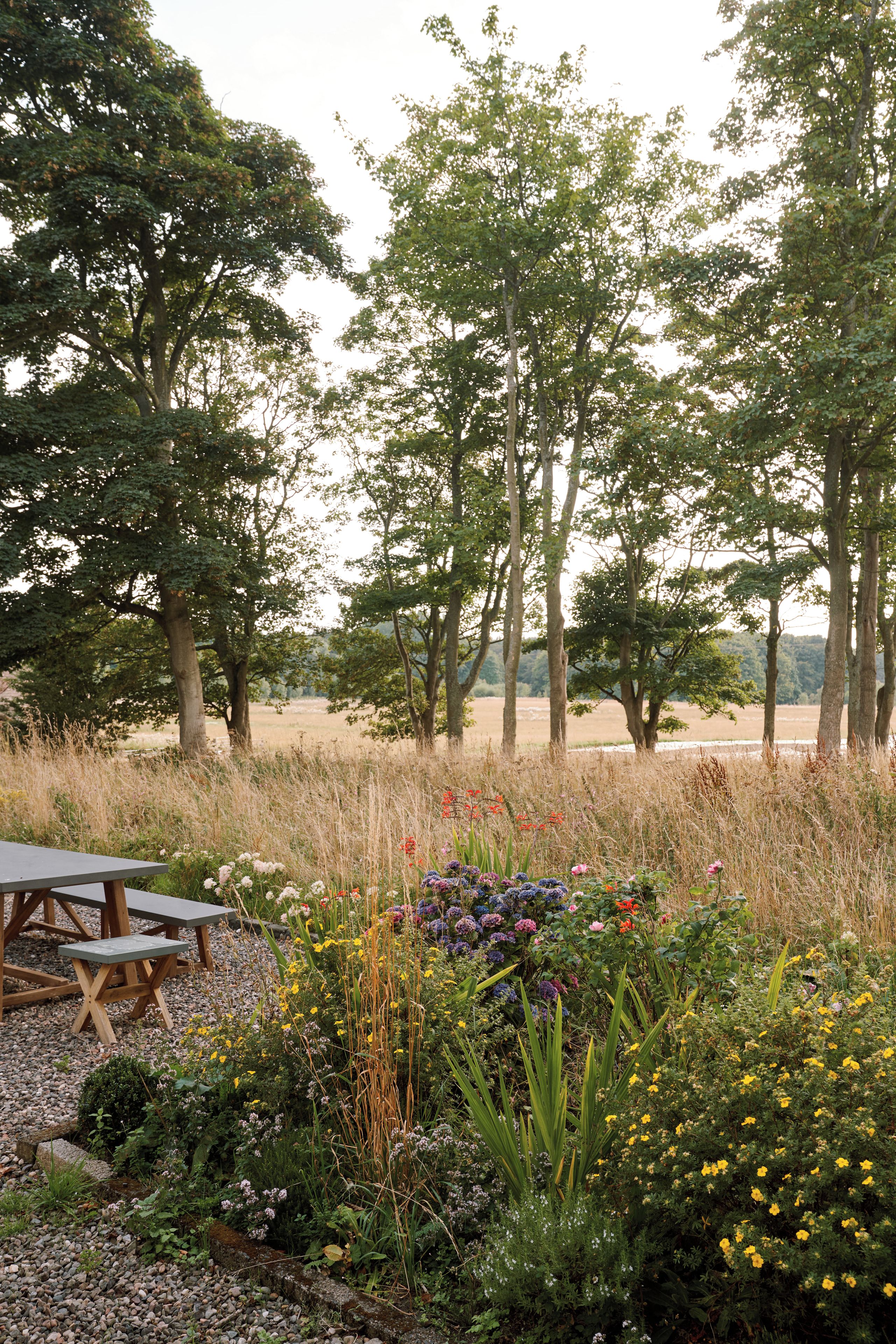 A garden with a wooden table and benches, surrounded by various plants and flowers.
