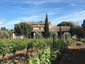 Property grounds - Domaine des Lions - large charming country house for 10 people (Sérignan)